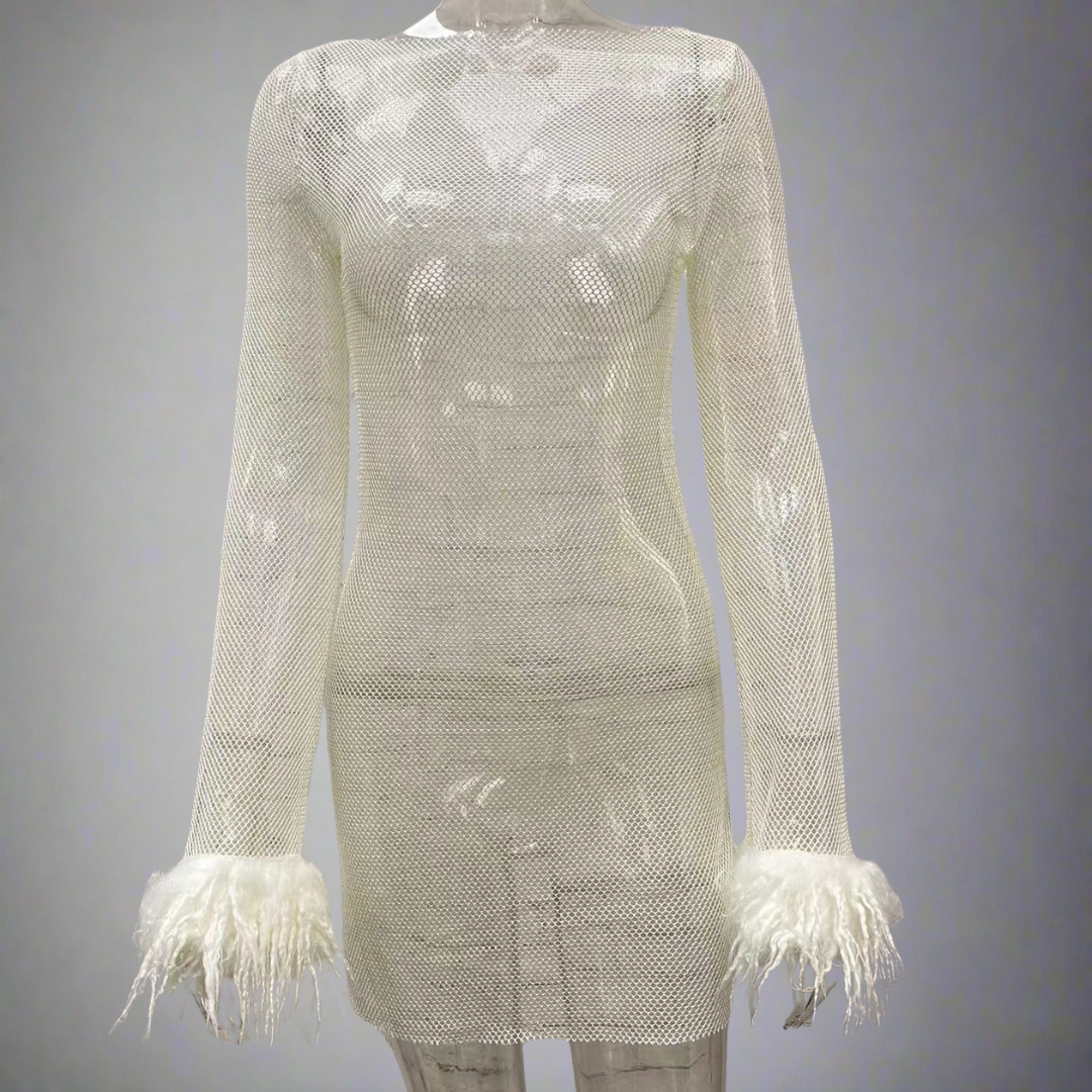 Women's Sparkly Feather Party Dress | Mini Evening