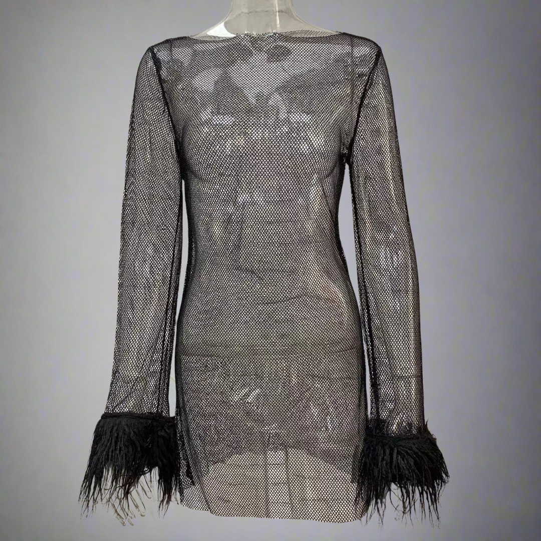 Women's Sparkly Feather Party Dress | Mini Evening